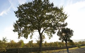 Agriturismo Lucerna Del Lago Prile