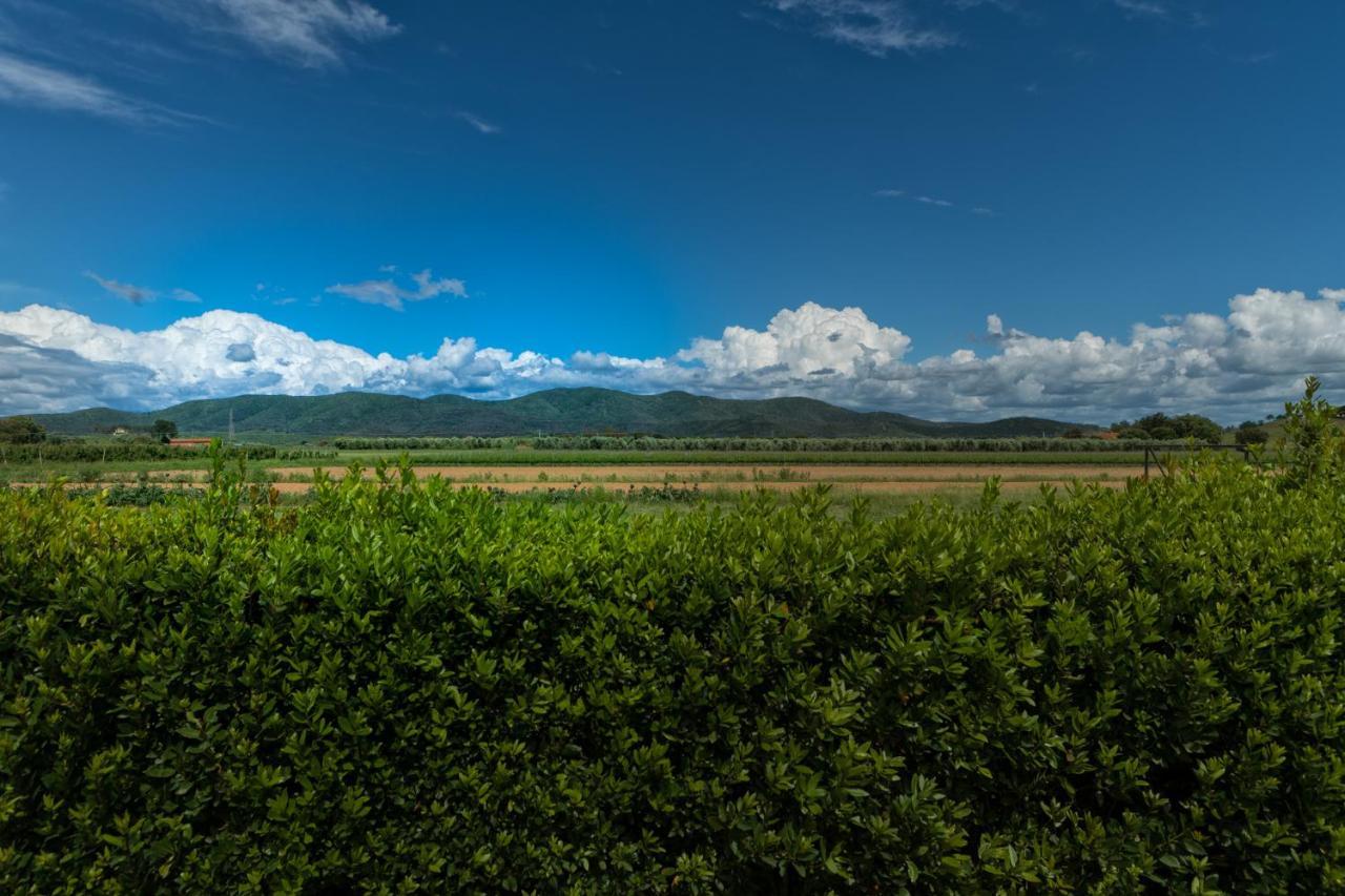 Agriturismo Lucerna Del Lago Prile Castiglione della Pescaia Exterior foto