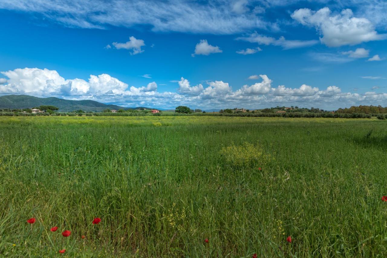 Agriturismo Lucerna Del Lago Prile Castiglione della Pescaia Exterior foto